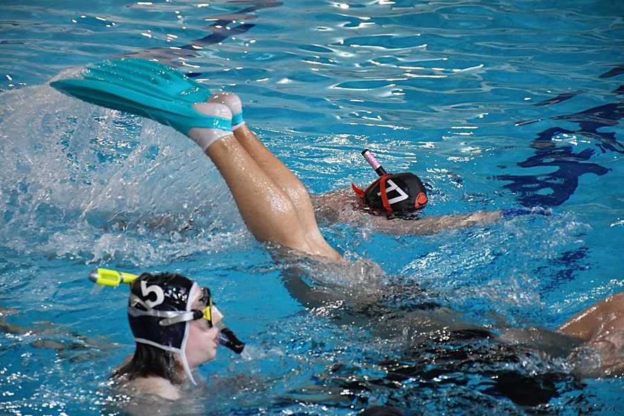 Hokej pod wodą Walenie Siemianowice Śląskie Finał WOŚP w Rudzie Śląskiej 25 I 2026